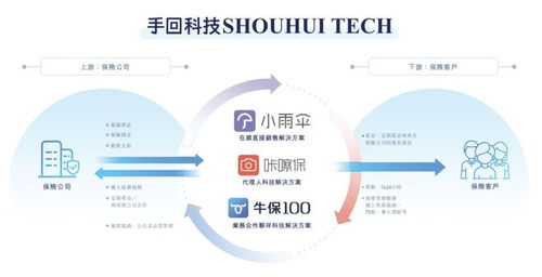 多重困境下的突圍 一家業(yè)務(wù)單一、屢遭波折的保險(xiǎn)科技中介，能否叩開(kāi)IPO之門(mén)？